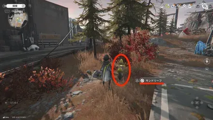 サンドリーフの見た目