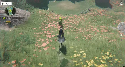 長耳獣についていく