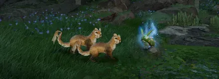 追いかける足跡画像