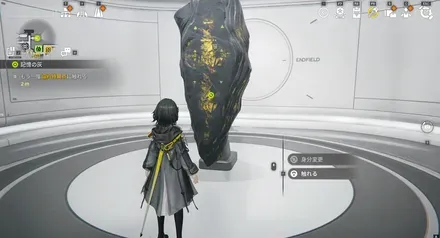 協約特異点を調べる