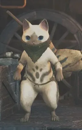 ぬすっと装束ネコαの見た目