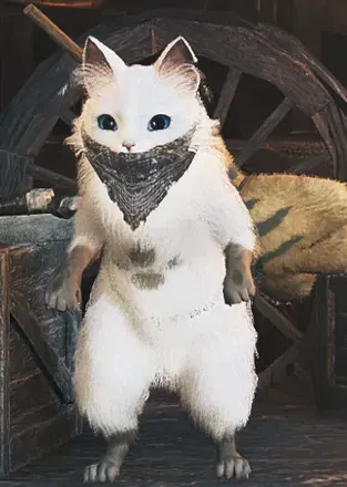 ぬすっと装束ネコ