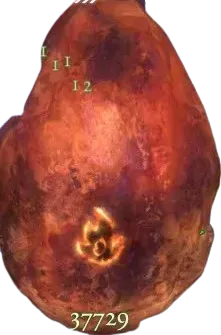 スクリーンショット_2026-01-27_224700-removebg-preview