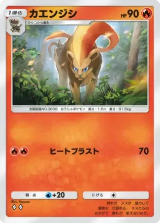 カエンジシ（B2-021/155）