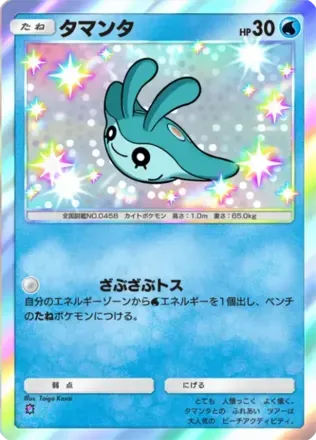 タマンタ（B2-210/155）