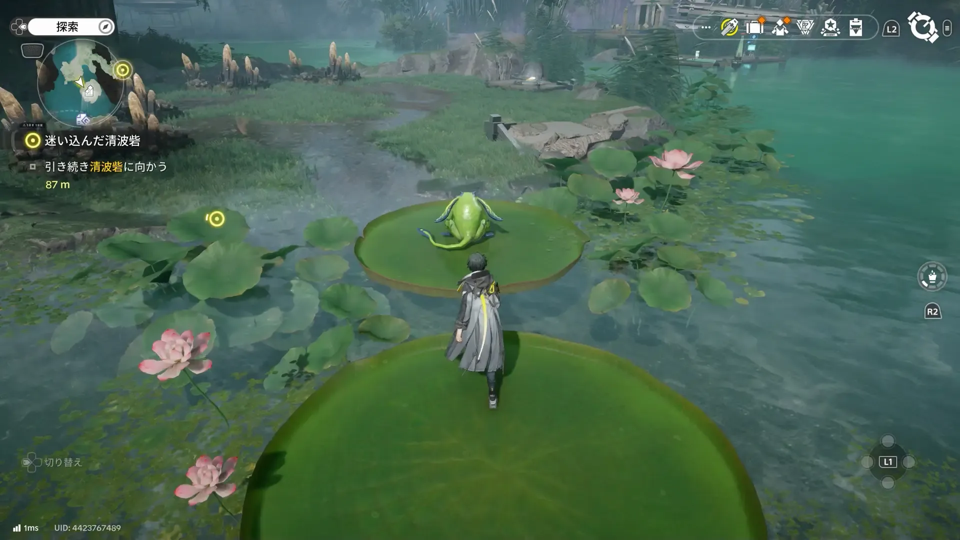 ハスの葉の動くタイミングを見極める