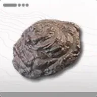 駄獣のフン画像