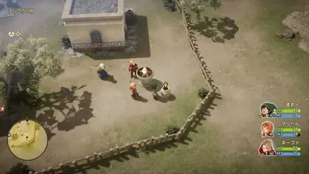 どくけしそう画像