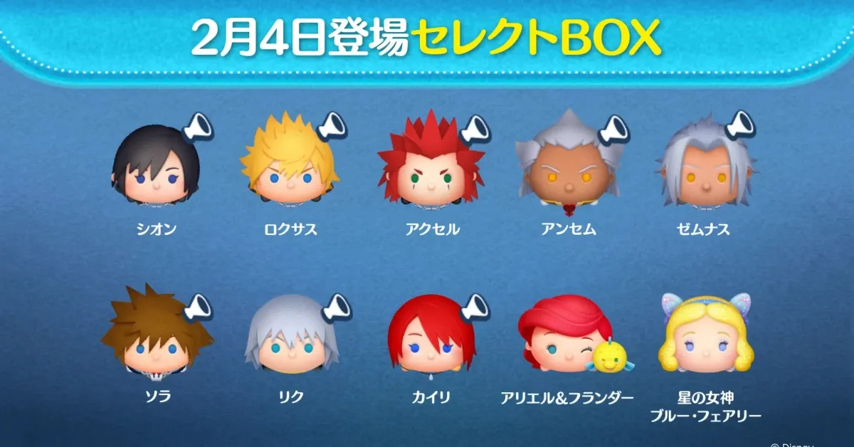 セレクトボックス