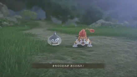 ユバール族の休息地周辺