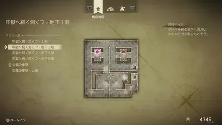 ちからのたね画像