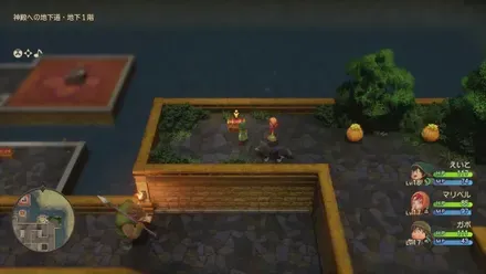 すばやさのたね画像