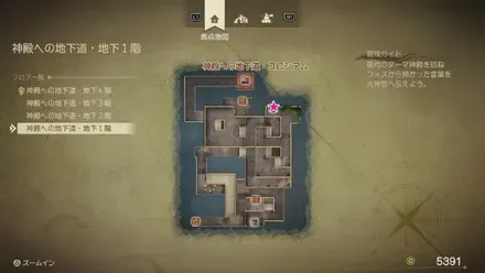 すばやさのたね画像