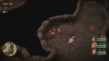 どくけしそう画像