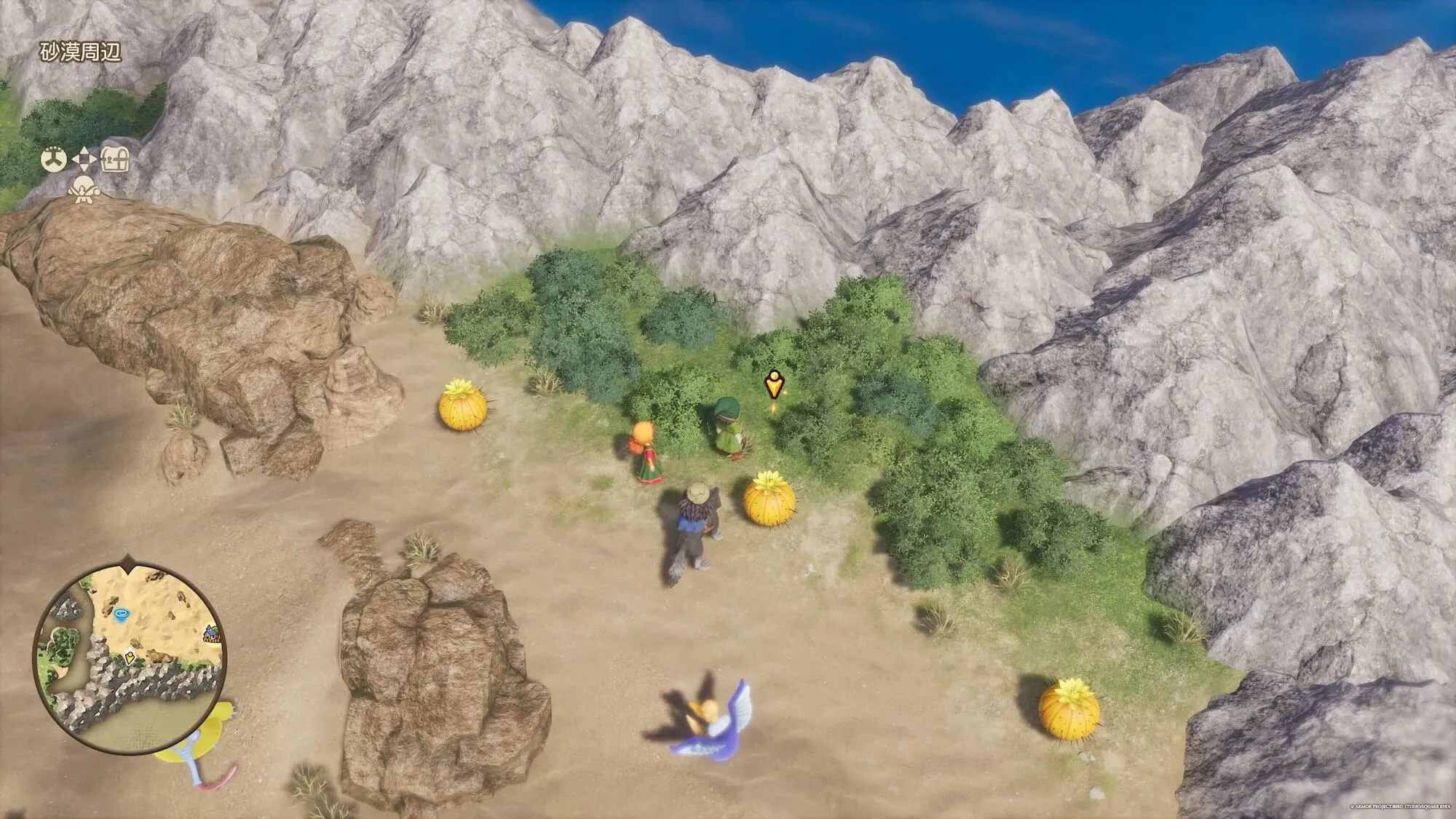 命の石見た目画像