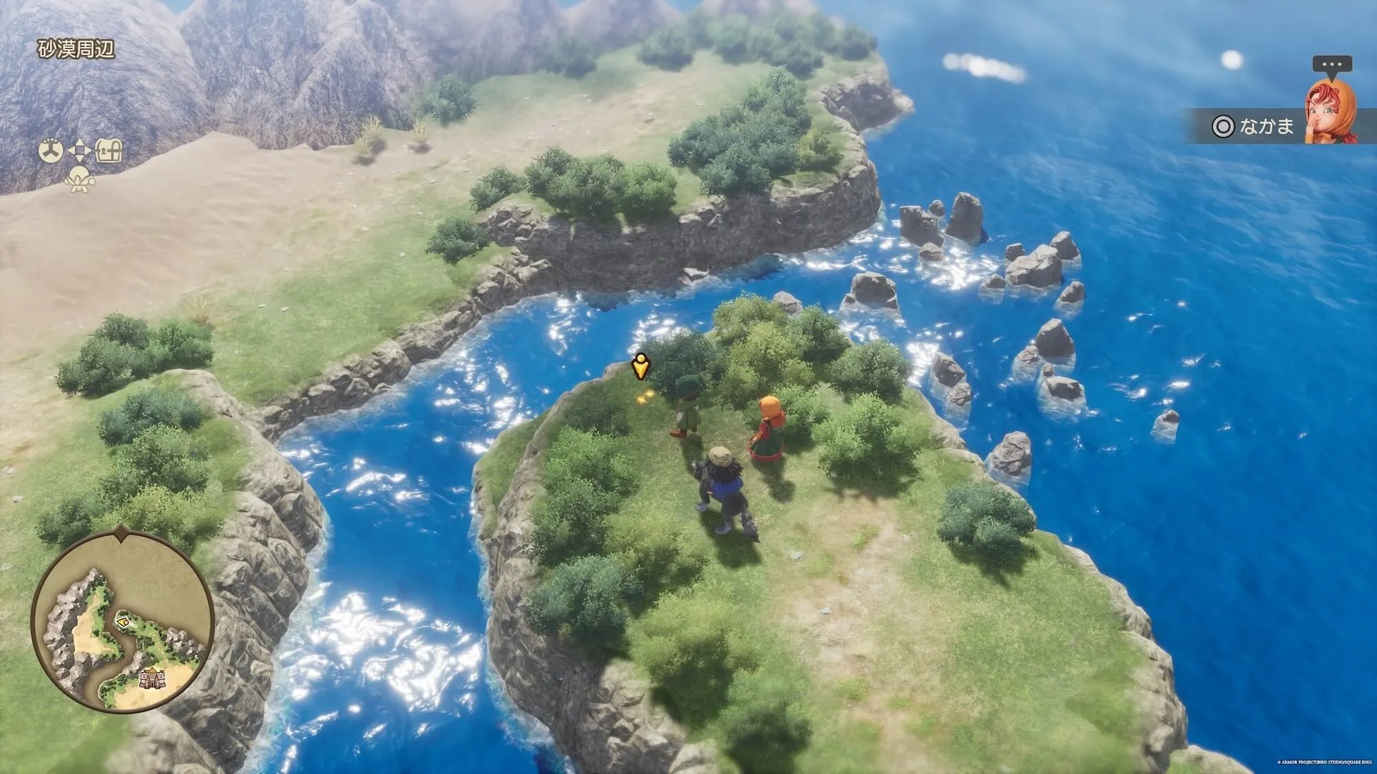 まもりのたね見た目画像