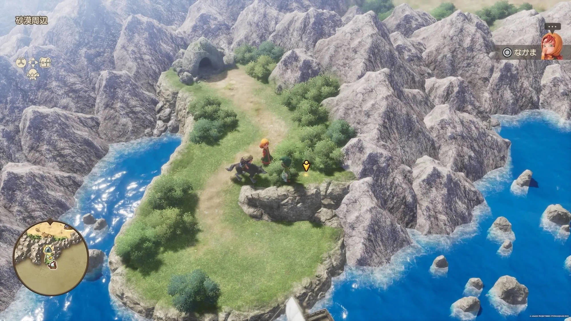 しんこうのたね見た目画像