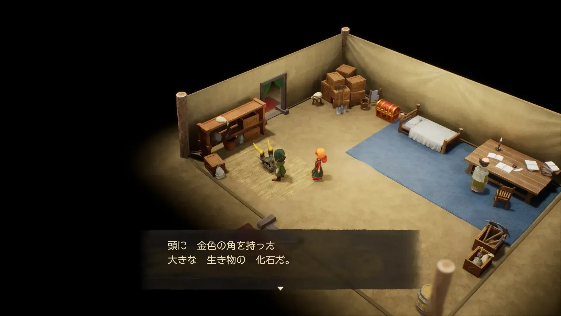 化石の発掘現場の化石