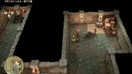 命のきのみ画像