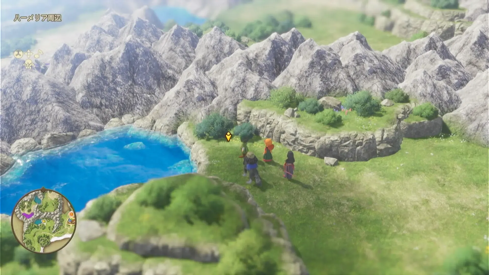 しんこうのたね見た目画像