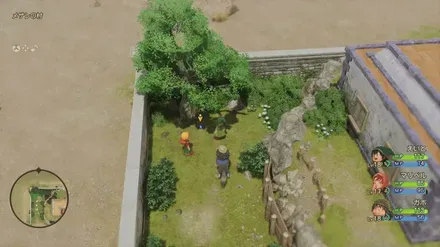 まんげつそう画像