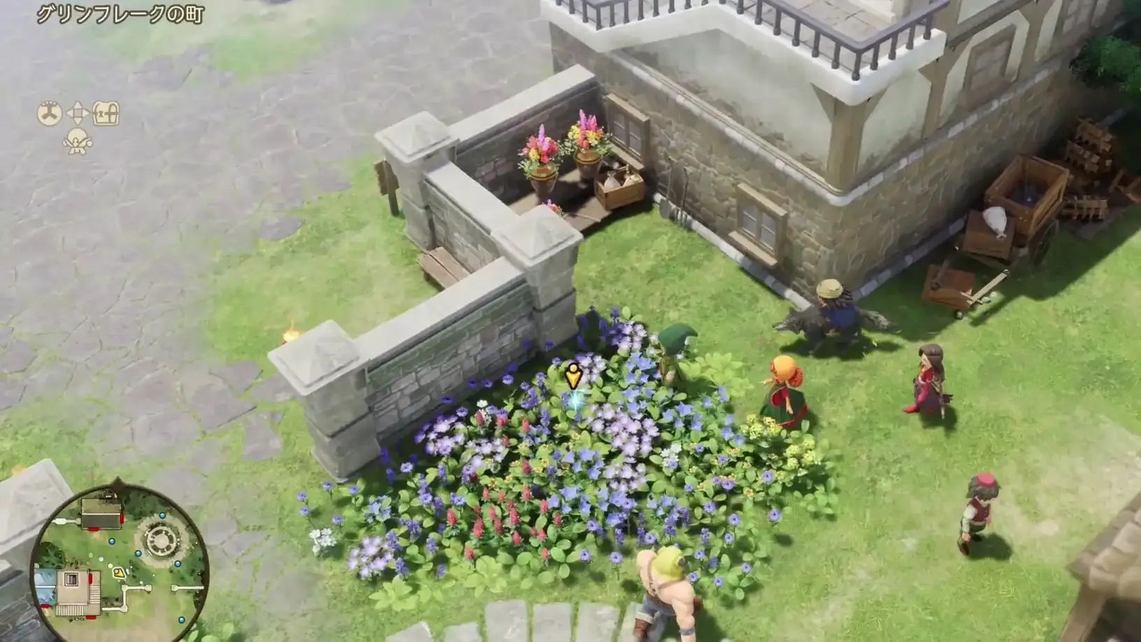 やくそう見た目画像