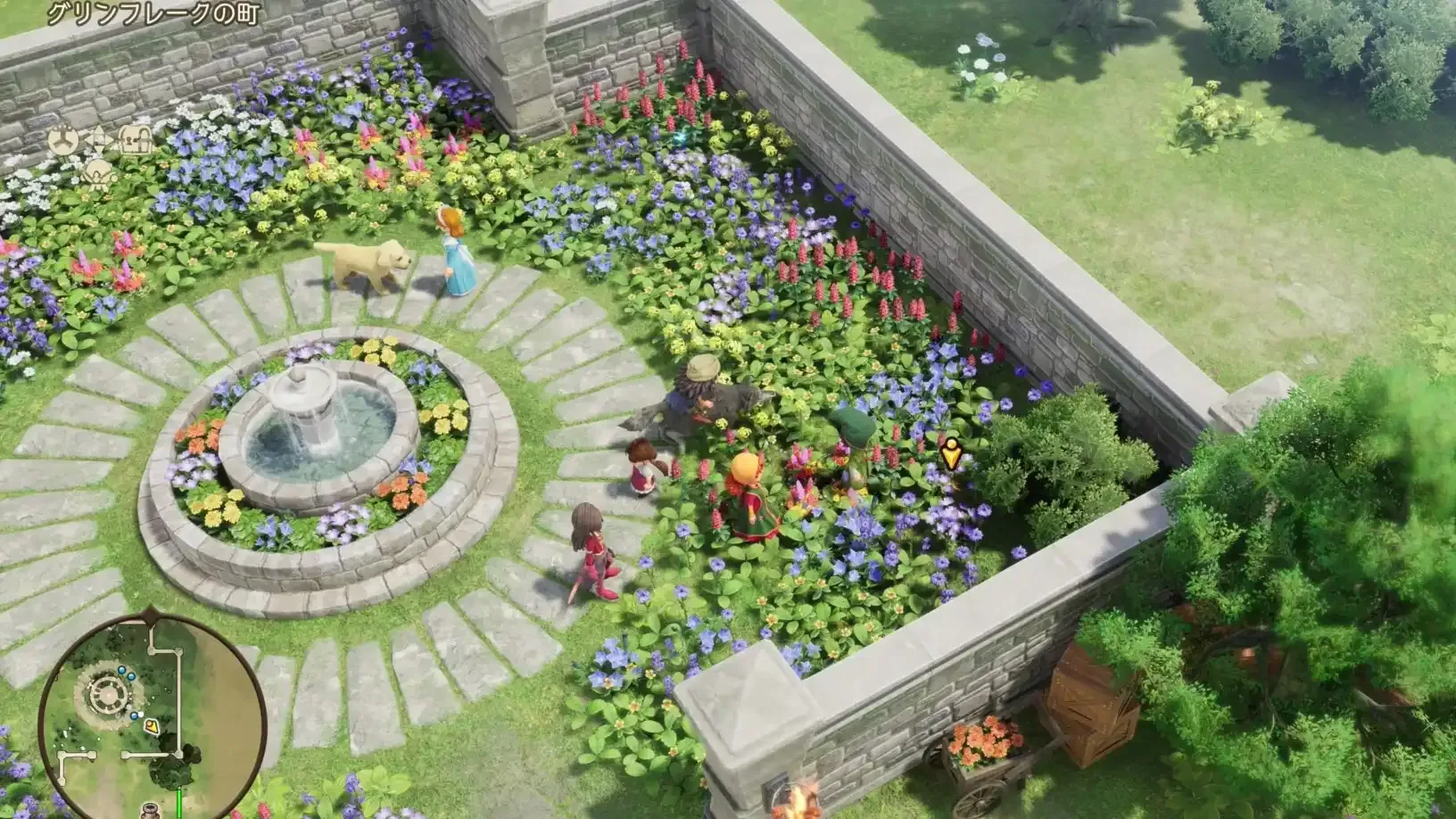 うつくしそう見た目画像