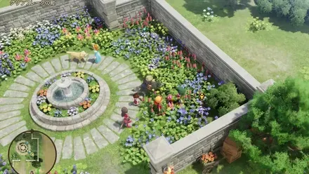 うつくしそう画像