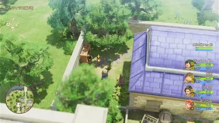 うつくしそう画像