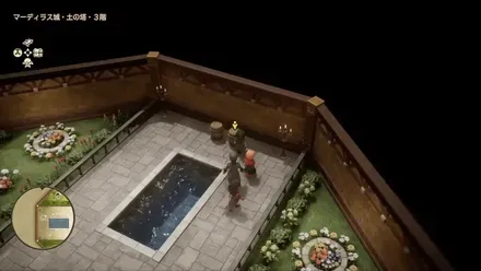 しんこうのたね画像