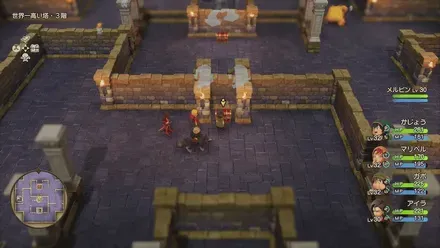 すばやさのたね画像