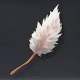 エーデルシュネー画像