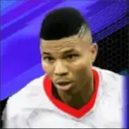 HPヘイニウド・マンダーヴァ(02/05)の画像