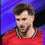 HPメイソン・マウント(02/05)の画像