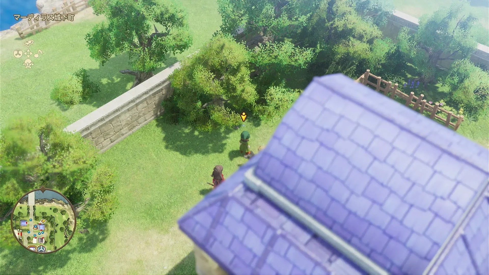 やくそう見た目画像