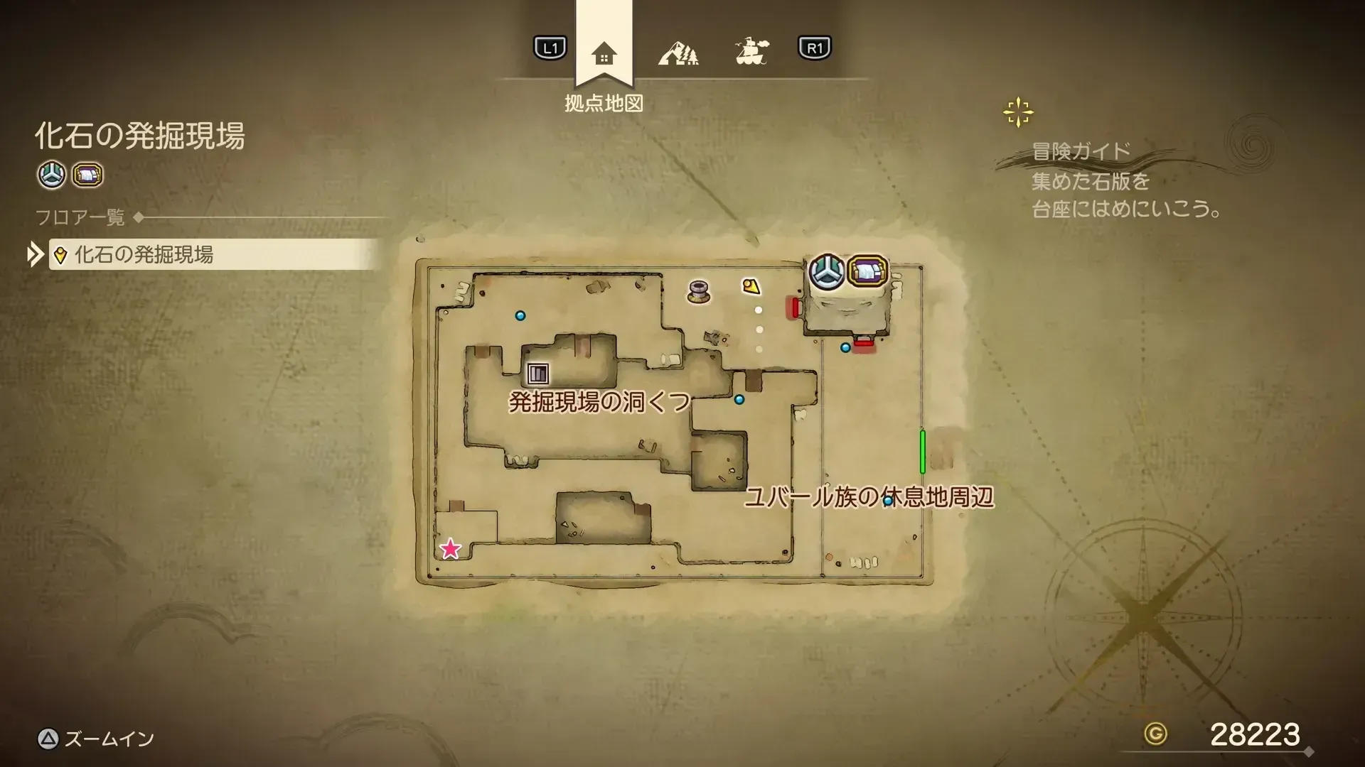 どくけしそう画像