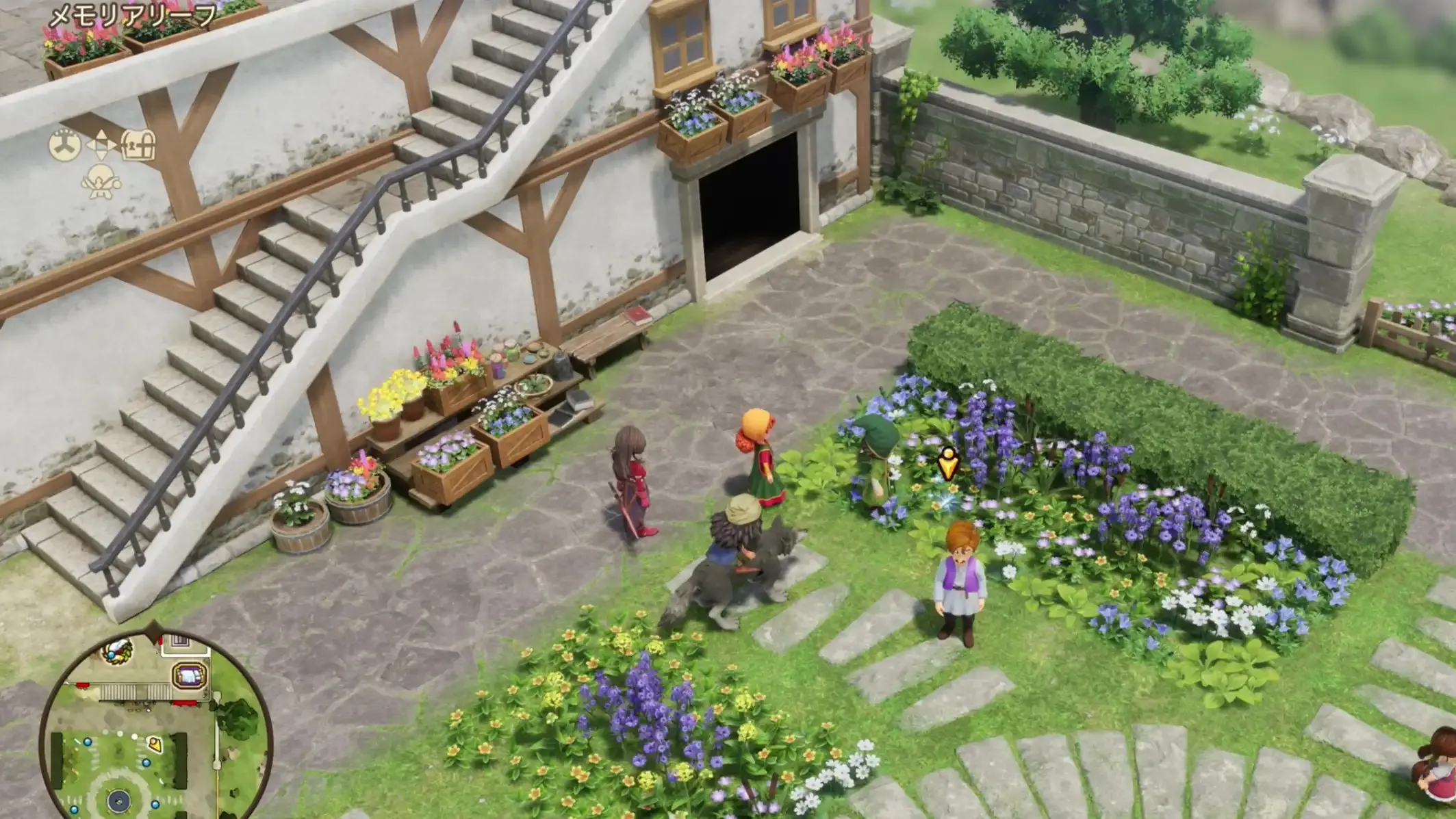 まんげつそう見た目画像