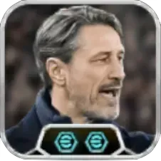 ニココヴァチッチ(リンクアップ)の画像