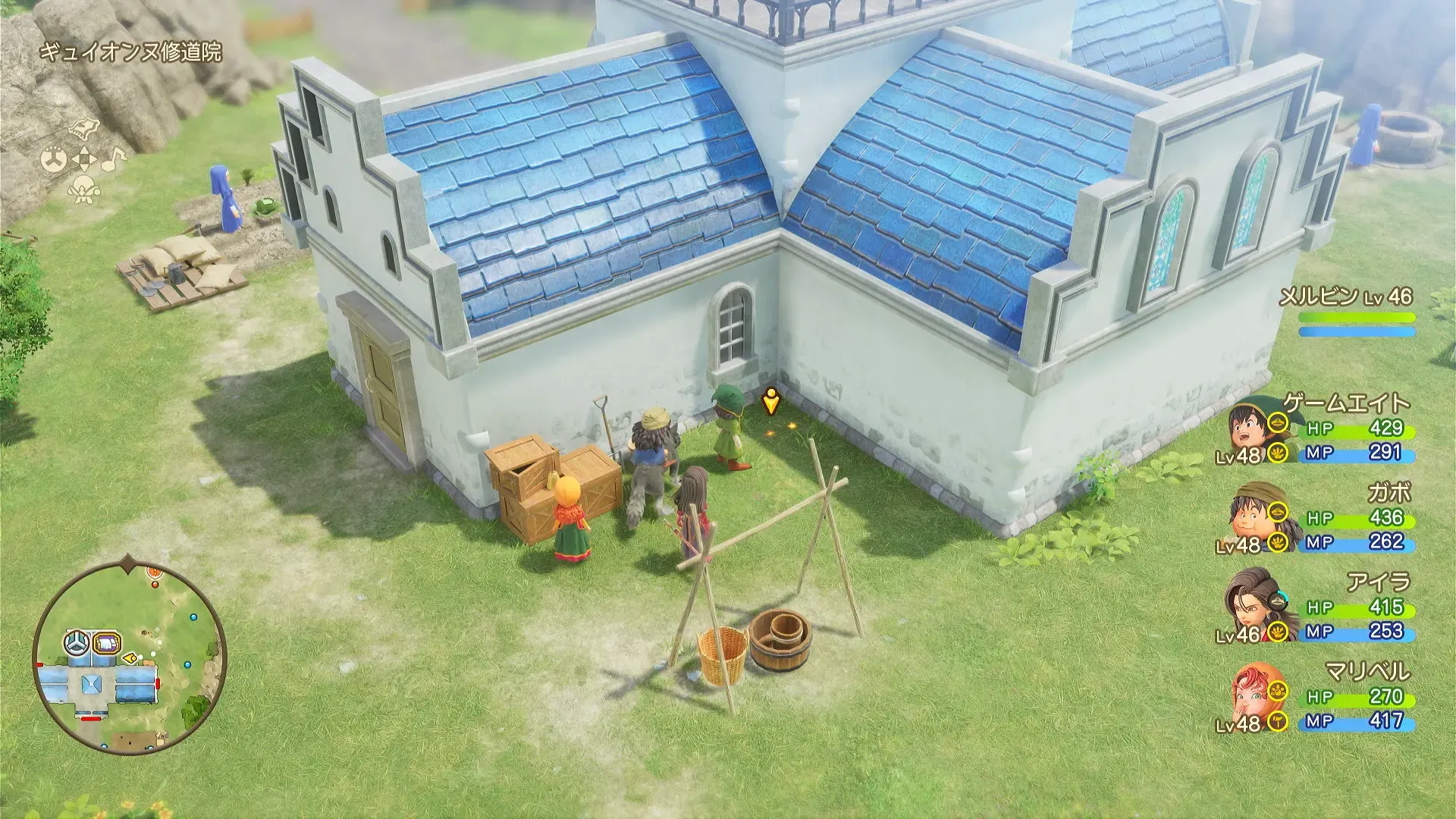 しんこうのたね見た目画像