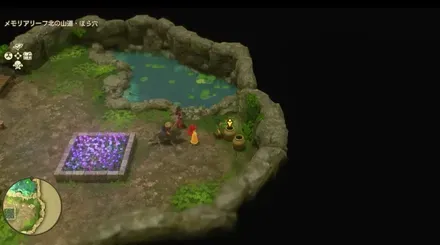 うつくしそう画像