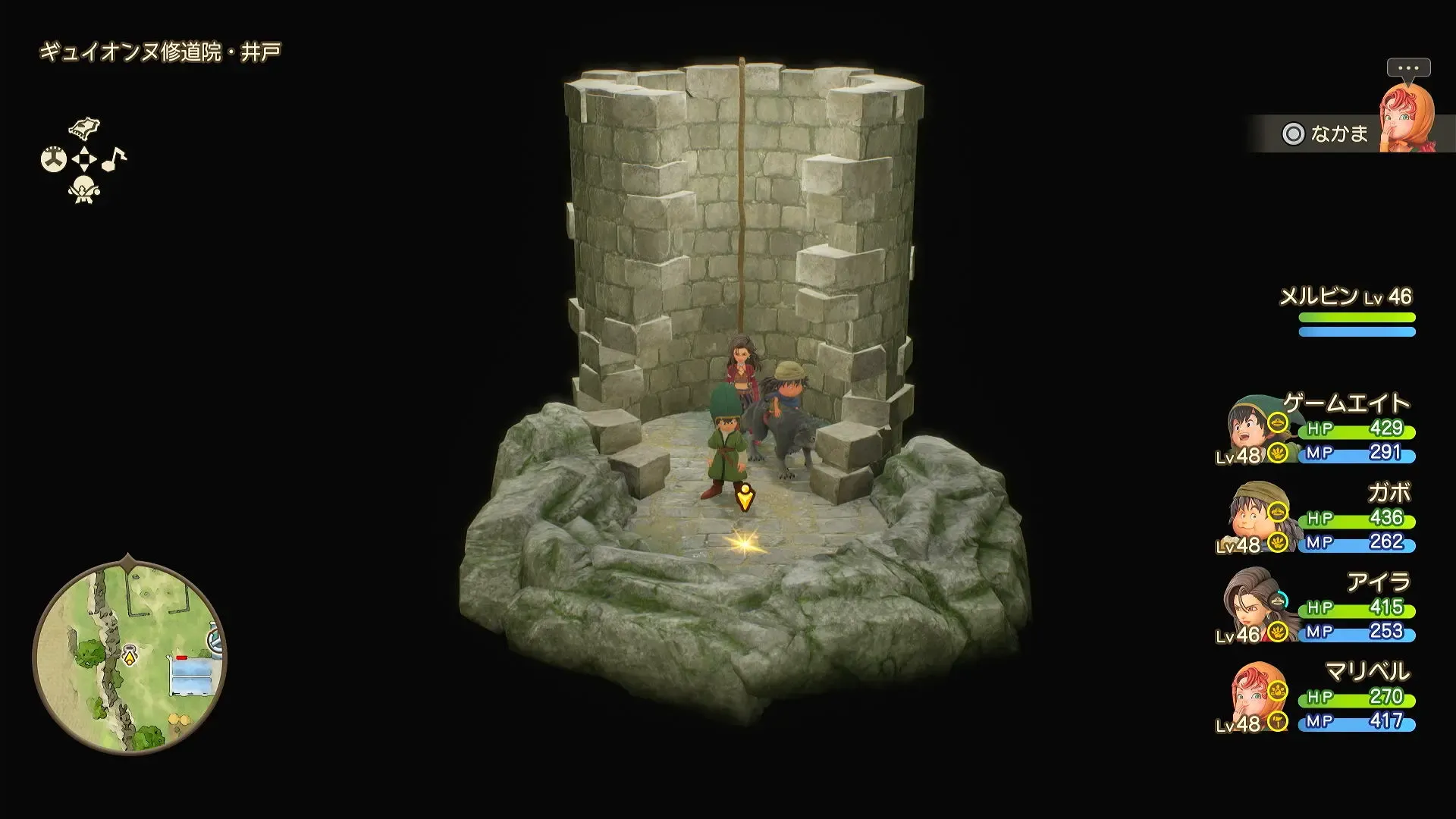 まもりのたね見た目画像