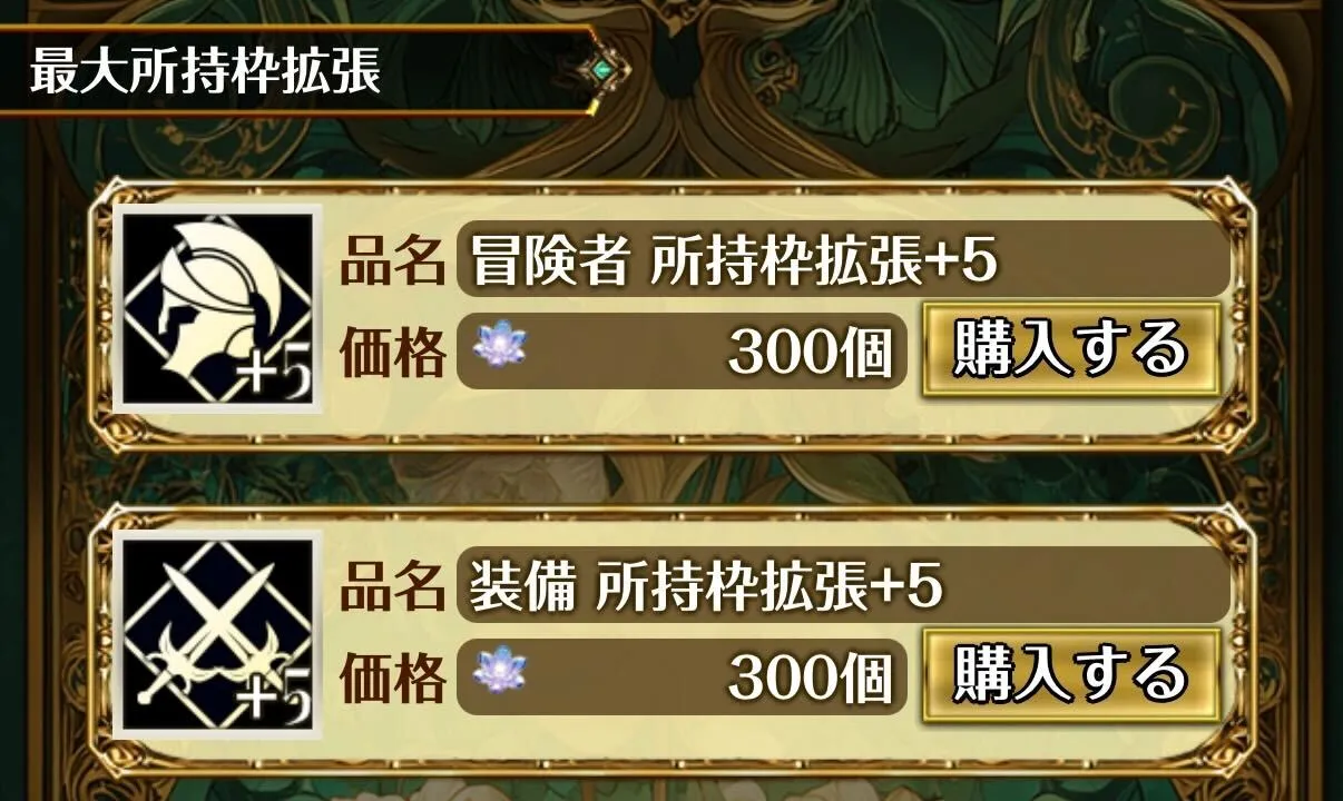 最大所持枠拡張