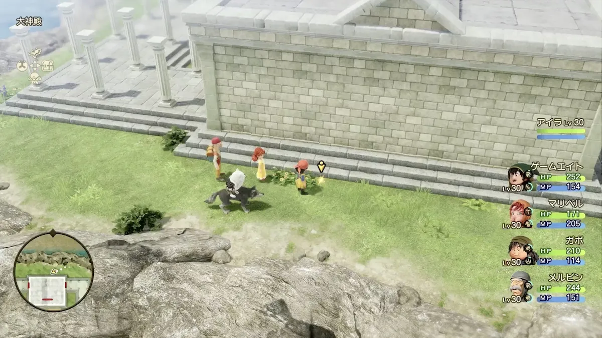 まりょくのたね見た目画像