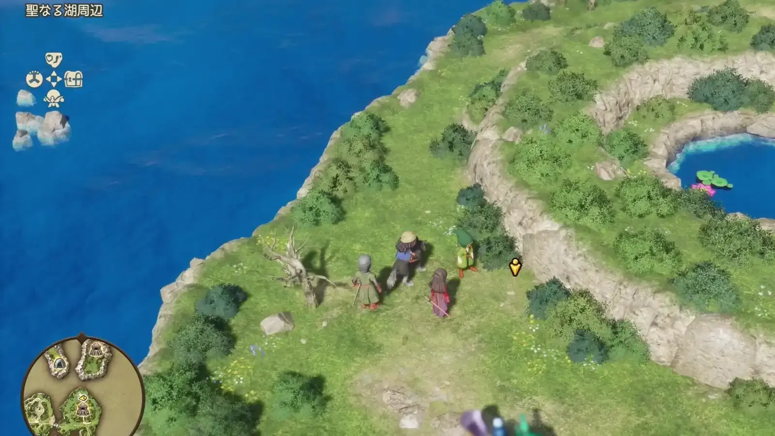 まもりのたね見た目画像