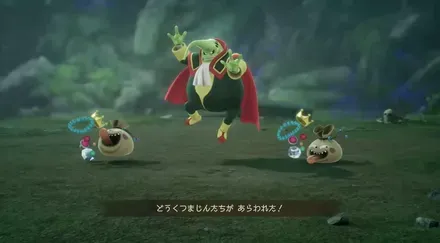 どうくつまじん画像