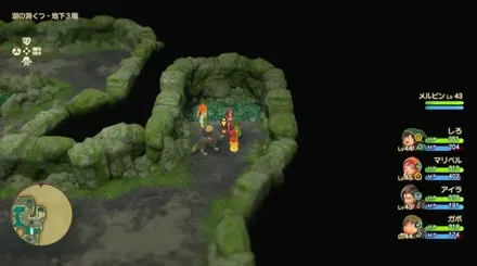 まりょくのたね画像