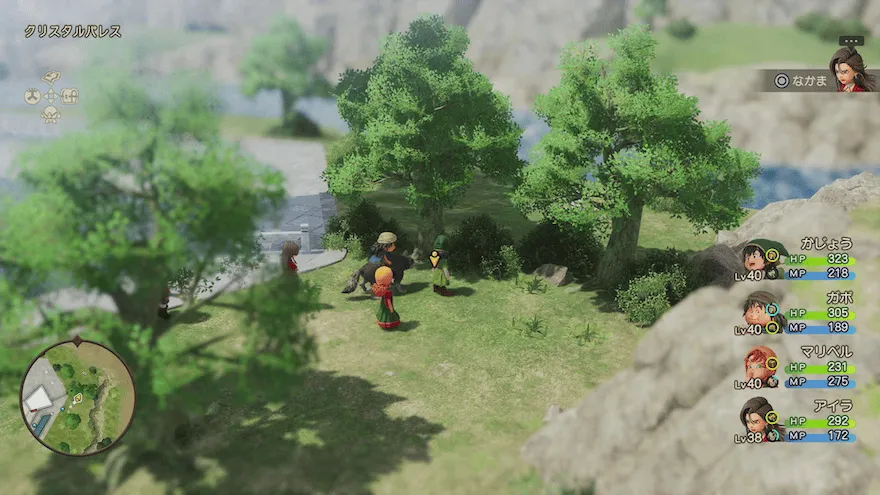 いのちのきのみ見た目画像