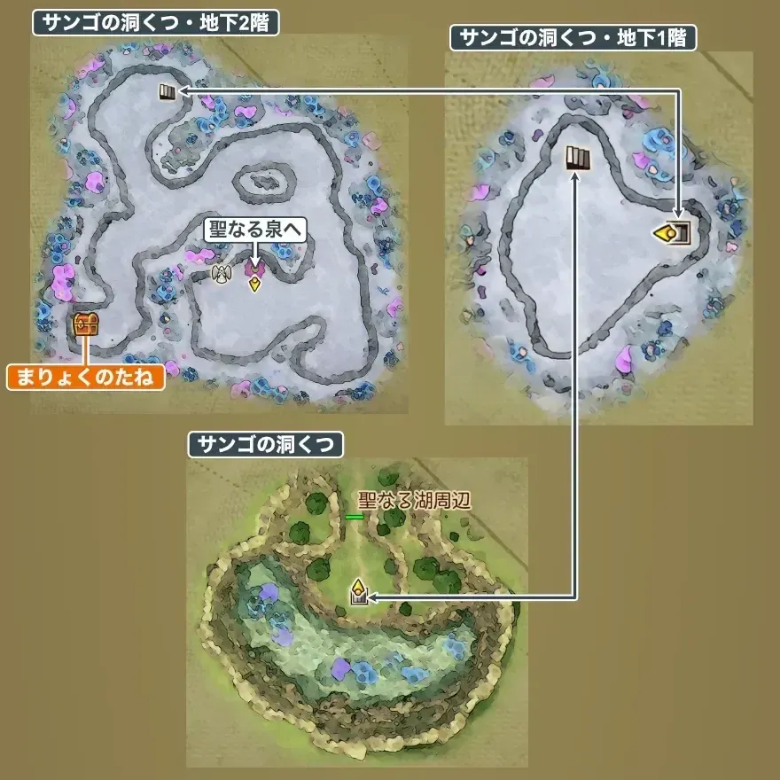 サンゴの洞窟画像_1