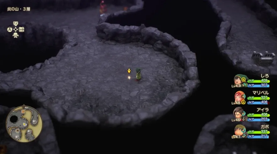 すばやさのたね見た目画像