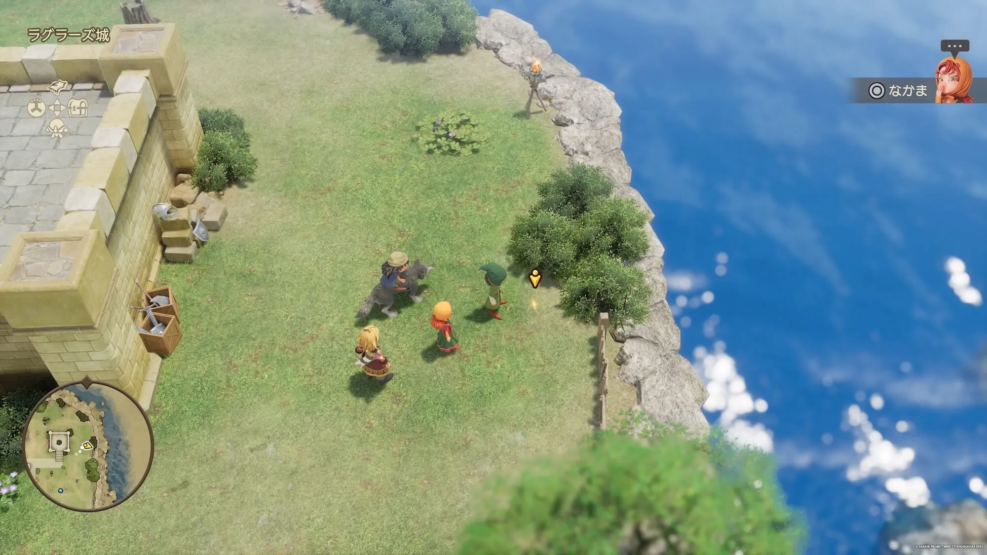 ふしぎなきのみ見た目画像